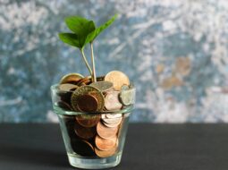 Financial Resilience